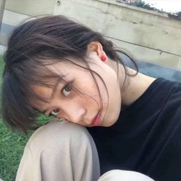 领养一只小兔子